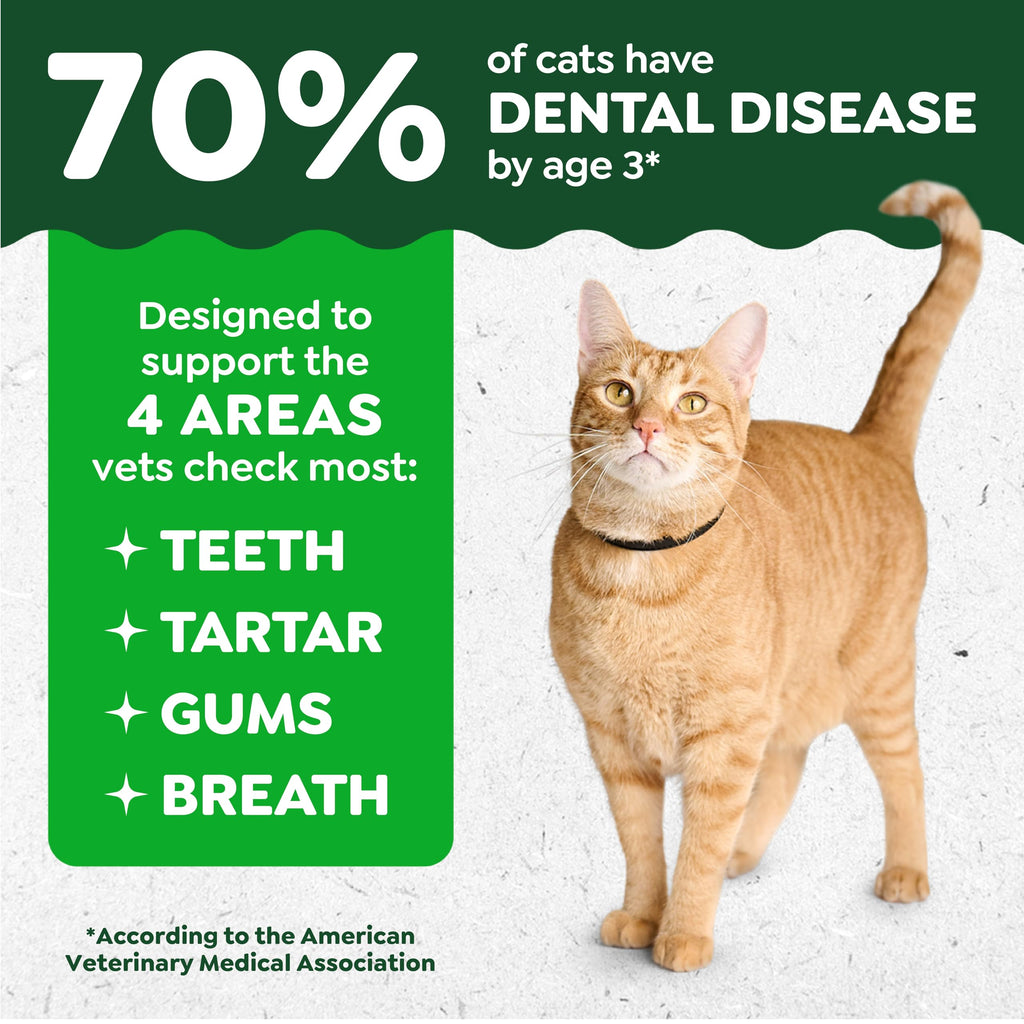 Greenies Feline Natural Dental Cat Treats, Catnip Flavor, 21 oz