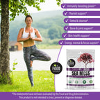 The Food Movement Co. Organic Raw Irish Sea Moss Powder - Mineral Dense Superfood for Cellular Health, Thyroid and Immune Support, Detox - Vegan and Kosher Algae Trace Minerals