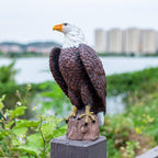 SHAODIE H:15.7in Outdoor Great Eagle Sculpture Garden Decoration Hand-Painted Bald Eagle Decoration - Bald Eagle Statue, Majestic American Indoor/Outdoor American Office, Courtyard Decoration