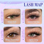Lash Clusters Kit Wispy Natural Cluster Eyelash Extension Kit DIY Lash Extension Kit C-curly 10-16MM Eyelash Clusters Volume Individual Lashes Kit by Newcally