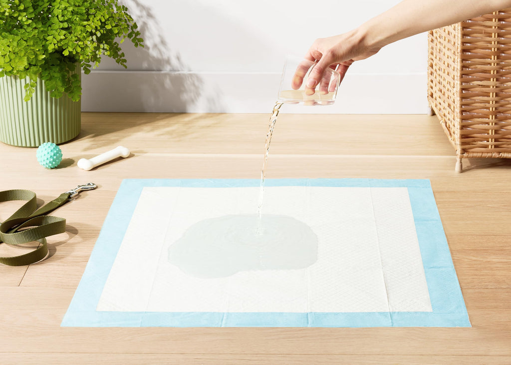 Amazon Basics Leak-Proof Dog and Puppy Potty Training Pee Pads with Quick-Dry 5-Layer Design, Housebreaking, Standard Absorbency, X-Large, 28 x 34 Inch, Blue & White, 60-Pack