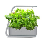 AeroGarden Sprout, Cool Gray