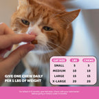 Pet Honesty Cat Multivitamin, Cat Treats Alternative, Chicken 30-Day Supply