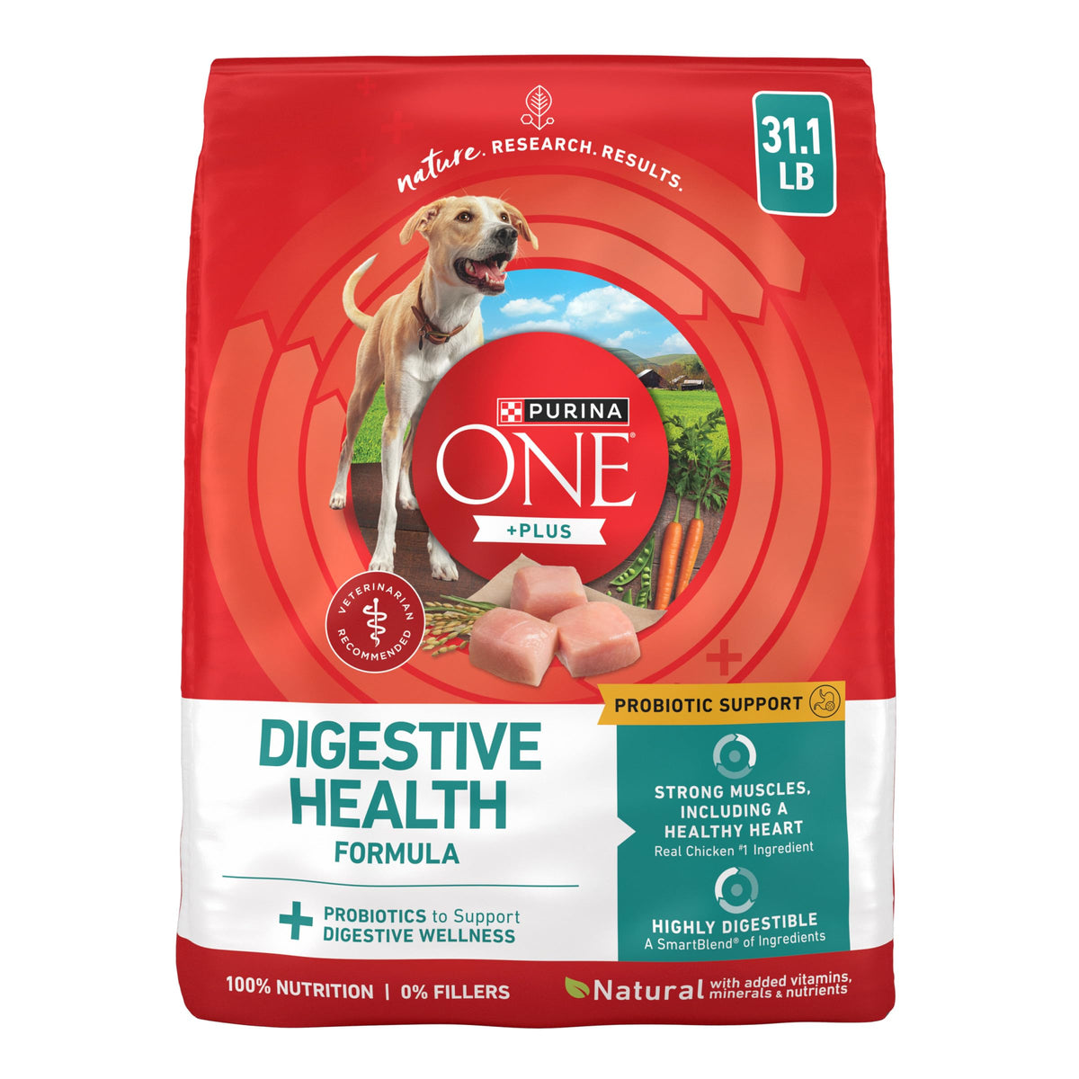 Purina ONE Plus Digestive Health Dry Dog Food, Chicken, 31.1 lb Bag