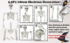 LaLamona 5.9ft/180cm Posable Halloween Skeleton, Life Size Skeleton Bones with Movable Joints for Halloween Graveyard Haunted House Spooky Scene Decor, 1pc