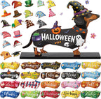Anglechic 42 Pcs Interchangeable Dachshund Sign Wiener Dog Holiday Decor