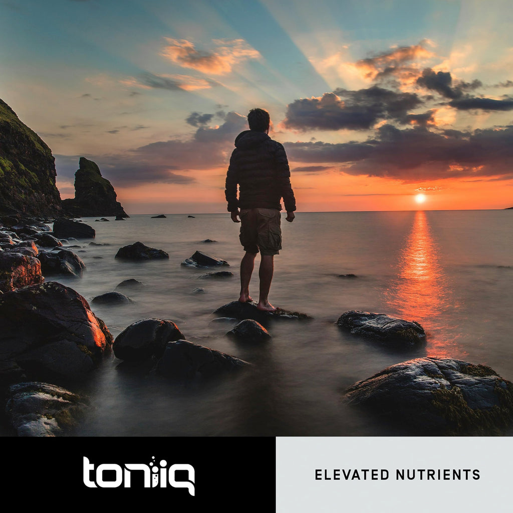 Toniiq Dihydroberberine Supplement - Ultra High Potency 1,000mg Formula with GlucoVantage, 10:1 Ceylon Cinnamon & 50:1 Milk Thistle - Third-Party Lab Tested