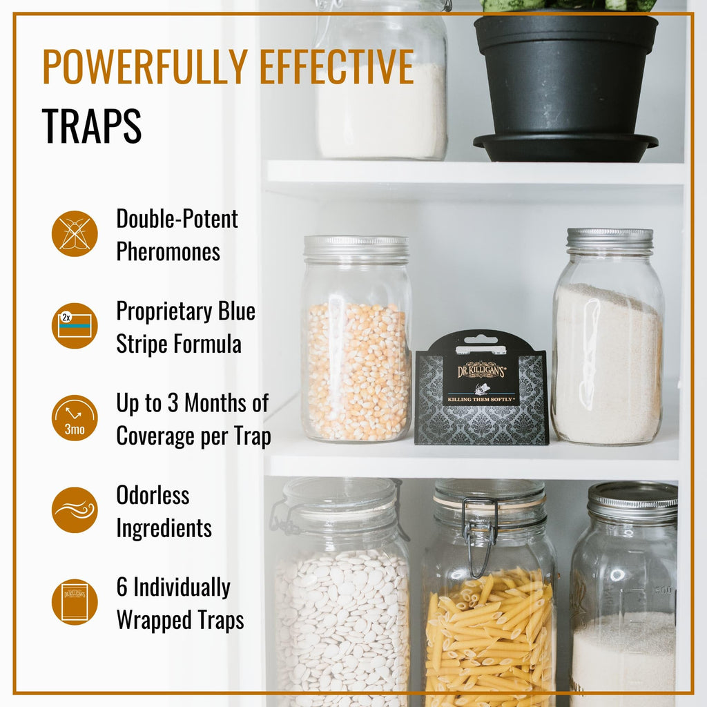Dr. Killigan's Premium Double Potent Pantry Moth Traps with Pheromones Prime, Sticky Indian Meal Moth Traps for Kitchen, How to Get Rid of Moths in House (6 Pack, Black)