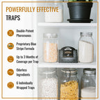 Dr. Killigan's Premium Double Potent Pantry Moth Traps with Pheromones Prime, Sticky Indian Meal Moth Traps for Kitchen, How to Get Rid of Moths in House (6 Pack, Black)