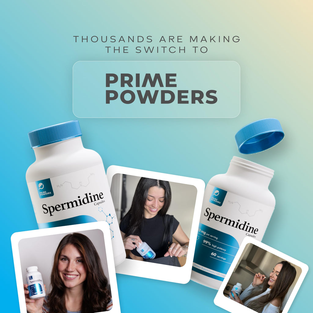 Prime Powders Spermidine Capsules Gluten Free 99% Concentration 100x More Potent Than Wheat Germ Extract for Anti-Aging DNA Telomere Support