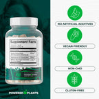 Cistanche Tubulosa with Fadogia Agrestis - Promotes Vitality - Natural Supplements for Men & Women with Bioperine by Powered X Plants, 90 Servings