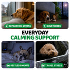 Hemp Calming Chews for Dogs - 240 Treats - Advanced Dog Calming Chews
