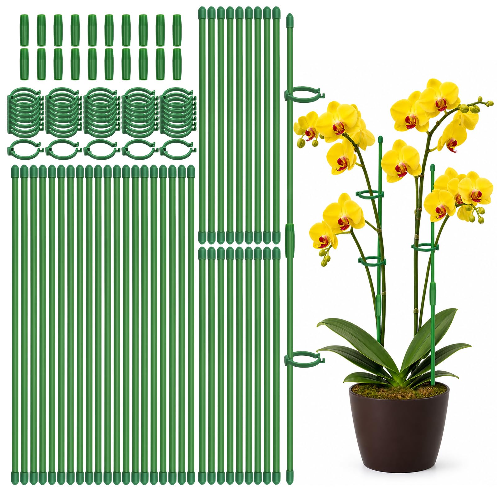 Catephe 40 Pcs Plant Support Stakes, Garden Stakes for Indoor Plants, Tall Adjustable Plant Sticks with 40 Clips and 20 Connectors for Monstera, Tomato, Vine Potted Plants