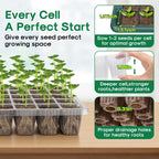 BlumWay Seed Starter Tray with Grow Light, Humidity Dome, 2 Pack 80 Cells