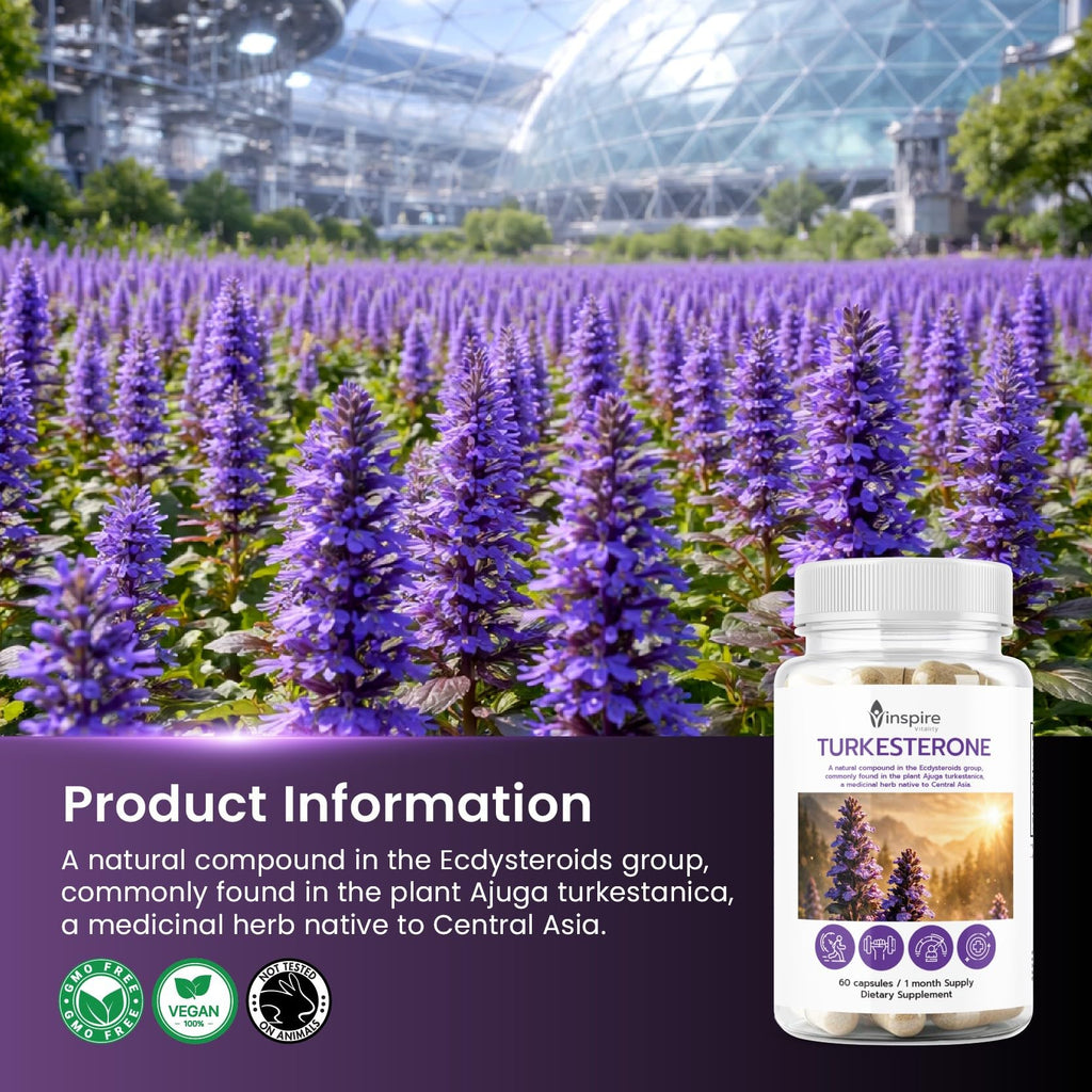 Turkesterone Capsules Pure 500mg Natural Ajuga Turkestanica Extract Ecydysterone- Increase Lean Muscle Growth & Recovery, Drive & Stamina - Non GMO - 60 V Capsules
