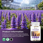 Turkesterone Capsules Pure 500mg Natural Ajuga Turkestanica Extract Ecydysterone- Increase Lean Muscle Growth & Recovery, Drive & Stamina - Non GMO - 60 V Capsules
