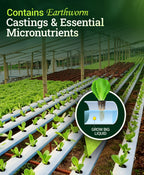 FoxFarm Grow Big Hydroponic Plant Food - 3-2-6 Liquid Plant Fertilizer for Lush Vegetative Growth in Hydroponic Systems - Liquid Concentrate with Earthworm Castings & Micronutrients - 1 Quart