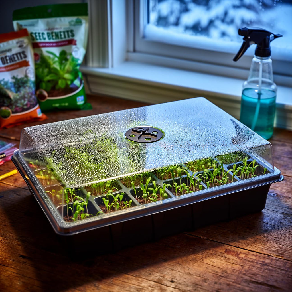 5-Pack Seed Starter Trays with Humidity Dome & Large 24-Cell Plug Trays