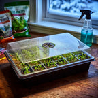 5-Pack Seed Starter Trays with Humidity Dome & Large 24-Cell Plug Trays
