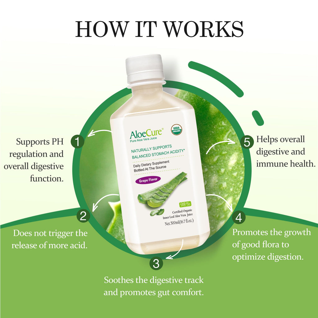 AloeCure USDA Organic Aloe Vera Juice Grape Flavor, Made Within 12 Hours of Harvest - Pure Aloe Vera Digestive & Immune Health Supplement, Helps Maintain Balanced Stomach Acidity, 16.7oz x 2 Btls