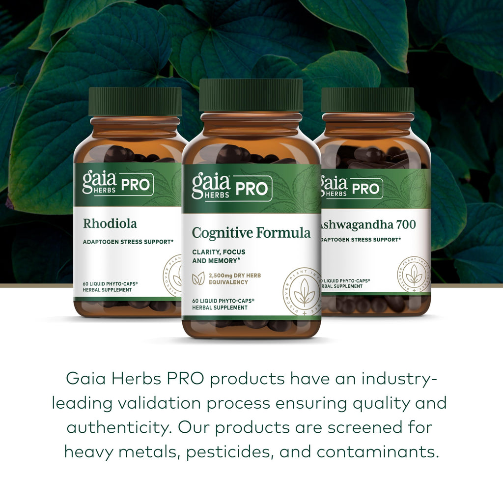 GAIA HERBS PRO Cognitive Formula - Brain Health & Blood Flow Support Supplement* - Circulation Support Supplement* with Fo-TI Root, Ginkgo Leaf, & Gotu Kola Leaf - 60 Liquid Phyto-Caps (30 Servings)