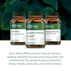 GAIA HERBS PRO Cognitive Formula - Brain Health & Blood Flow Support Supplement* - Circulation Support Supplement* with Fo-TI Root, Ginkgo Leaf, & Gotu Kola Leaf - 60 Liquid Phyto-Caps (30 Servings)