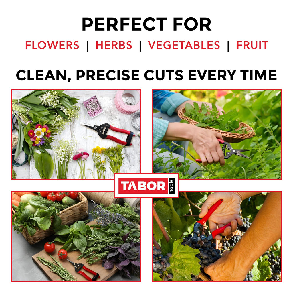 TABOR TOOLS K7A Pruning Snips – 7,5" – Carbon Steel Flower Pruning Scissors for Gardening | Floral Snips and Pruners for Deadheading, Trimming & Harvesting Herbs, Flowers, Fruits or Vegetables