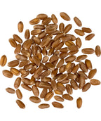 Palouse Brand Certified Glyphosate Residue Free Hard Red Winter Wheat Berries | 10 LBS | Family Farmed in Washington State | Non-GMO Project Verified | Certified Kosher Parve Bag