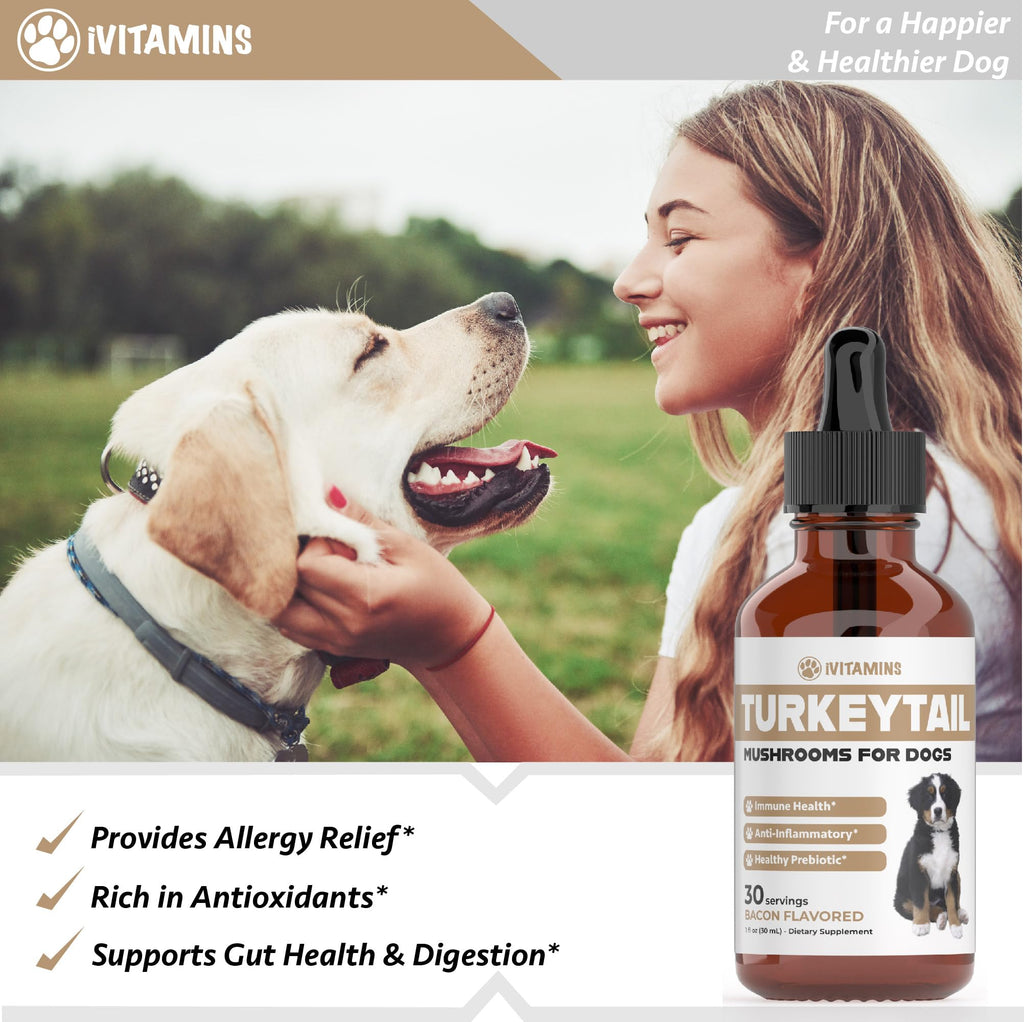 Turkey Tail Mushroom for Dogs | Helps to Boost The Immune System, is a Healthy Prebiotic, & Much More | Turkey Tail for Dogs | Mushrooms for Dogs | Dog Mushroom Supplements | 1 fl oz