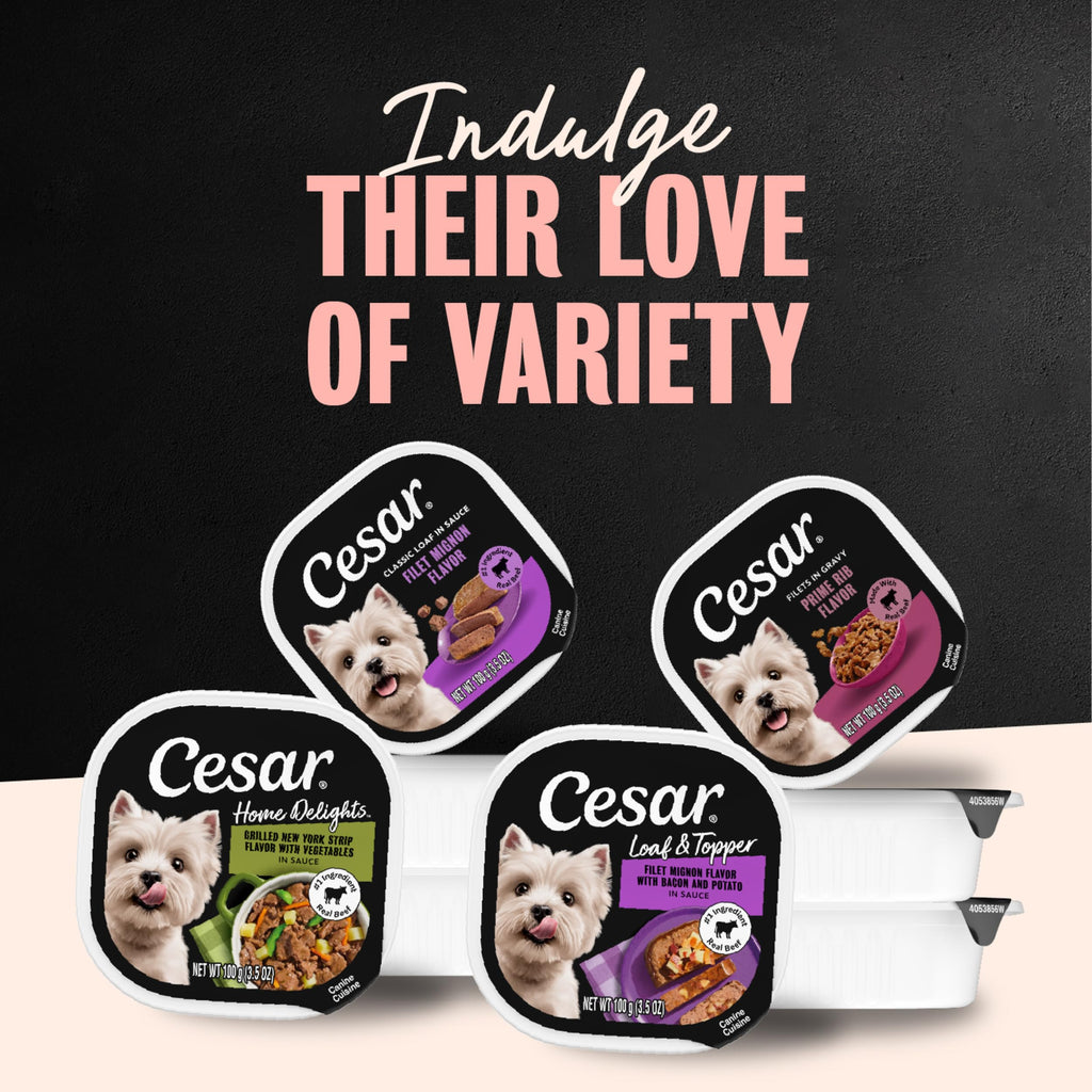 Cesar Wet Dog Food, Steak Lovers Variety Pack, 3.5 oz, 36 Count