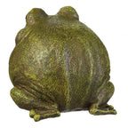 Evergreen Garden Cute Portly Frog 6" Tall Outdoor Statue and Secret Key Holder | Weatherproof and Outdoor Safe | Garden Sculpture | Porch Garage or Patio Home Decor