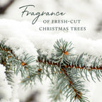 Thymes Frasier Fir All-Purpose Cleaner - Biodegradable Cleaner with Natural Essential Oils - Household Spray for Cleaning Bathrooms, Kitchens, Counters, and Other Surfaces (16 fl oz)