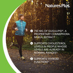 NaturesPlus Herbal Actives Gugulipid - 30 Extended-Release Tablets - Ayurvedic Botanical Supplement - Vegetarian, Gluten Free - 30 Servings