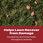 Scotts Turf Builder WinterGuard Fall Lawn Food, 10 lbs.