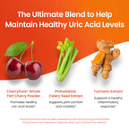 3 in 1 Uric Acid Flush Cleanse – Tart Cherry Extract with Turmeric & Celery Seed Supplement Purge - Feet and Joint Support - 60 Veggie Capsules