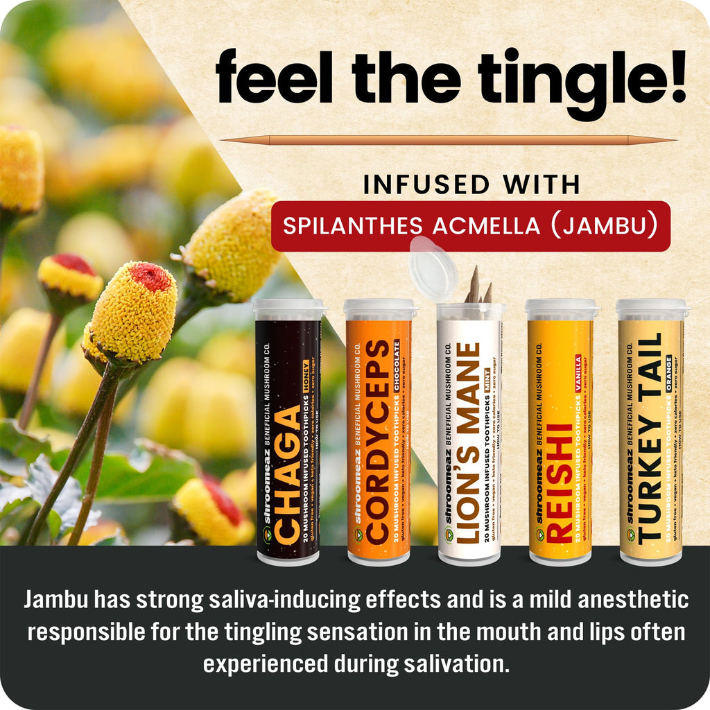 Shroomeaz Flavored Infused Toothpicks (Variety Reishi, Cordyceps, Lions Mane, Turket Tail, Chaga) 5 Pack