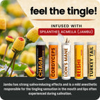 Shroomeaz Flavored Infused Toothpicks (Variety Reishi, Cordyceps, Lions Mane, Turket Tail, Chaga) 5 Pack