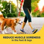 Dr. Scholl's Walk Longer Insoles for Women - Comfortable Plush Foam Cushioning Inserts for Walking, Hiking, Standing on Feet All-Day with Arch Support - Walk 50% Longer Without Muscle Fatigue: 2 Pairs
