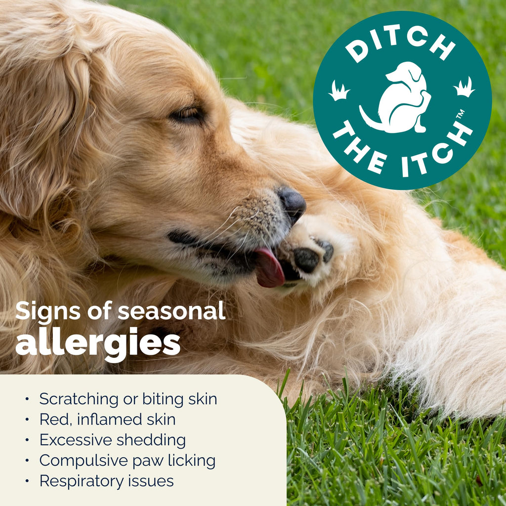 Vetnique DermaBliss Dog Allergy Chews for Seasonal Allergy Itch Relief, Skin & Gut Health with Probiotics and Omega 3 Blend - Advanced or Regular Strength (120ct, Regular Strength Chews)
