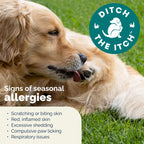 Vetnique DermaBliss Dog Allergy Chews for Seasonal Allergy Itch Relief, Skin & Gut Health with Probiotics and Omega 3 Blend - Advanced or Regular Strength (120ct, Regular Strength Chews)