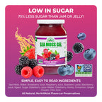 EverSmith Organics - Wildcrafted Irish Sea Moss Gel | Made in USA | Rich in Vitamins & Minerals | Sea Moss Gel Raw | Nutritional Supplement | Mixed Berry (16 oz)