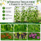 FOLLOOK Cucumber Trellis for Raised Garden Bed, 63x48inch, Black