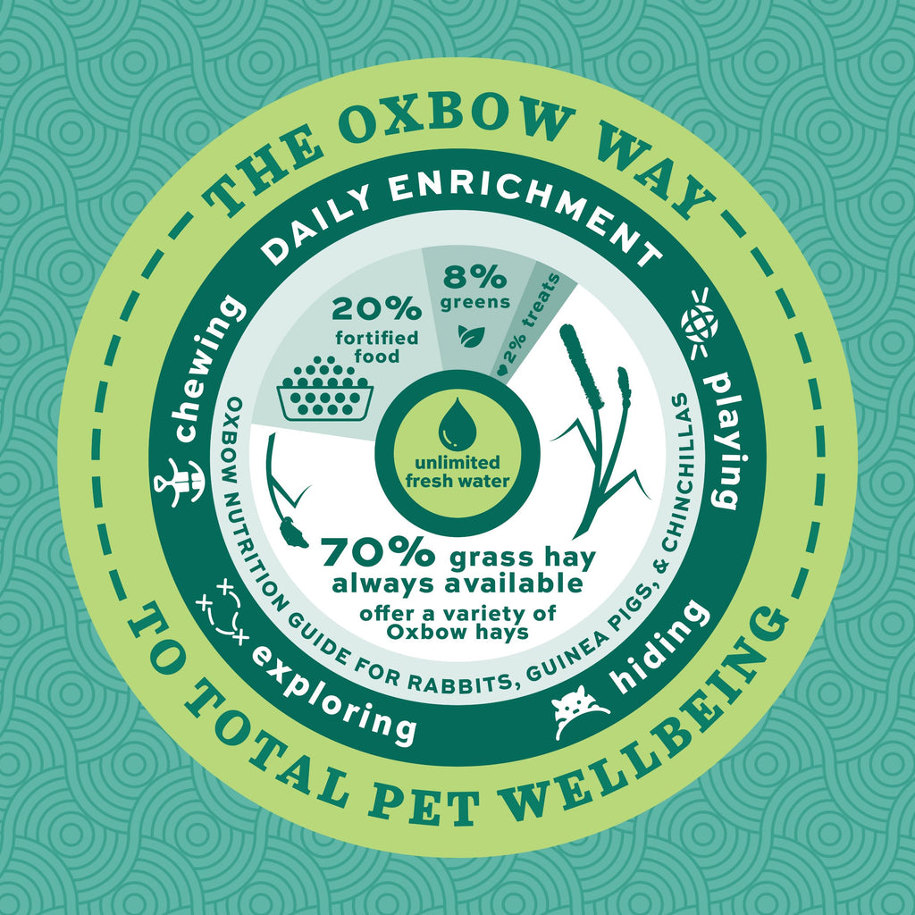 Oxbow Essentials Adult Rabbit Food, Timothy Hay Rabbit Pellets, USA, 10 lb