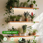 DingChen T5 Grow Lights, 2FT 60W (4×15W, 500W Equivalent), Full Spectrum Grow Lights for Indoor Plants, 4000K, Plug and Play, Easy to Install, for Greenhouse & Plant Shelves (4 Pack)