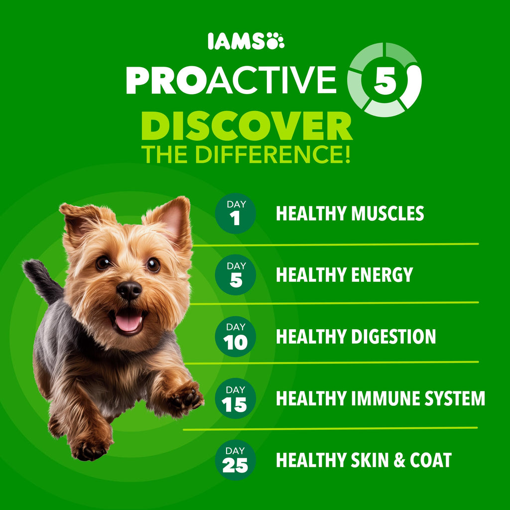 IAMS Proactive Health Small Breed Dry Dog Food, Chicken & Grain, 15 lb