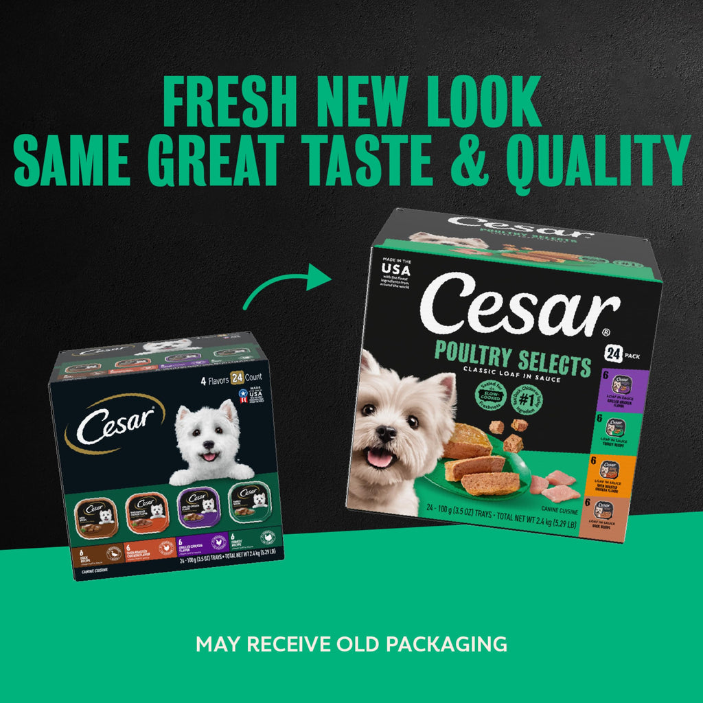 Cesar Classic Loaf in Sauce Wet Dog Food, Poultry Selects, 3.5 oz, 24 Count