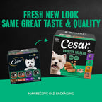 Cesar Classic Loaf in Sauce Wet Dog Food, Poultry Selects, 3.5 oz, 24 Count