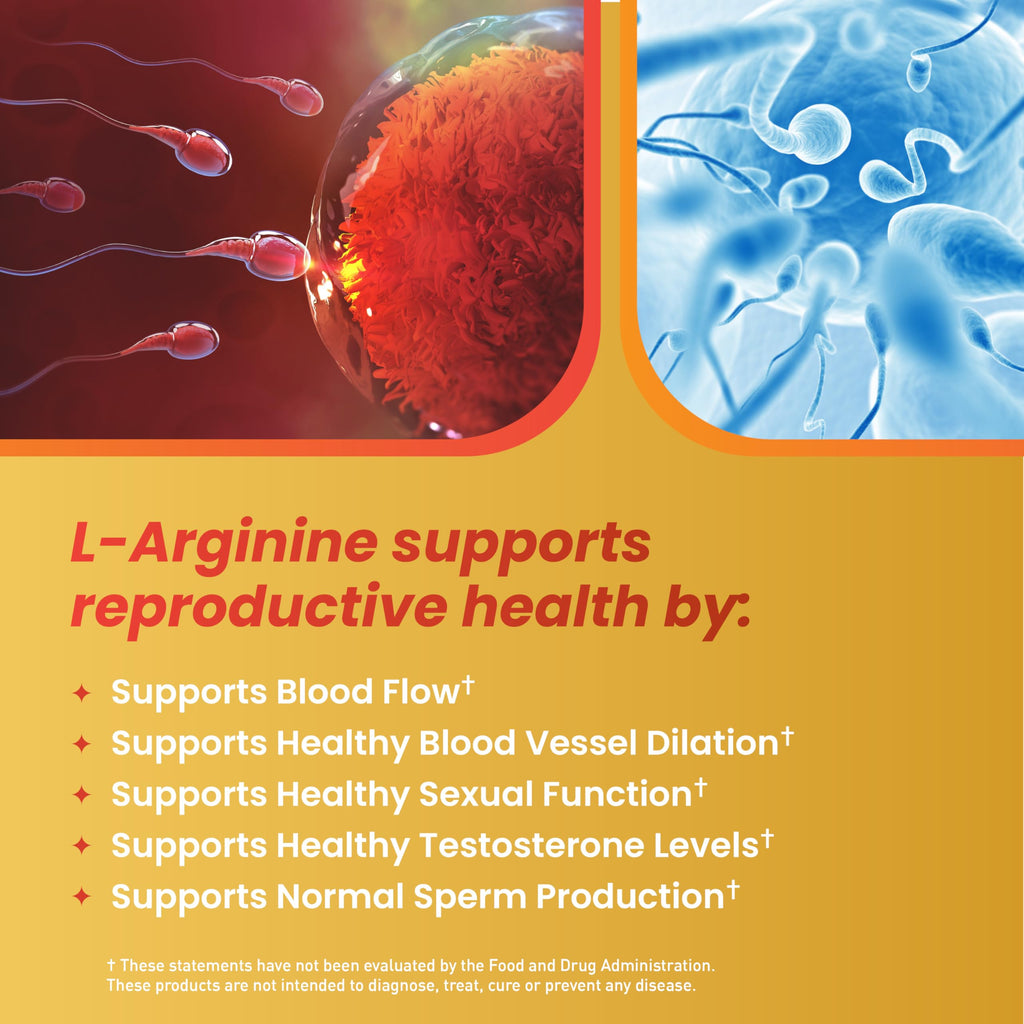 Motility Max – Supports Sperm Motility & Reproductive Health Promotes Healthy Blood Flow, Libido & Testosterone Levels Antioxidant Formula with L-Arginine, L-Carnitine & Essential Nutrients 60 Capsule