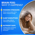Brain Fog Supplement for Women – Memory & Focus Support for Perimenopause and Menopause – Cognitive Support with Phosphatidylserine, CognatiQ & L-Theanine – Brain Health Capsules – 60 Count