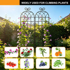 YOBAZAN Metal Garden Trellis 71"x20", 2 Pack Plant Support Trellis